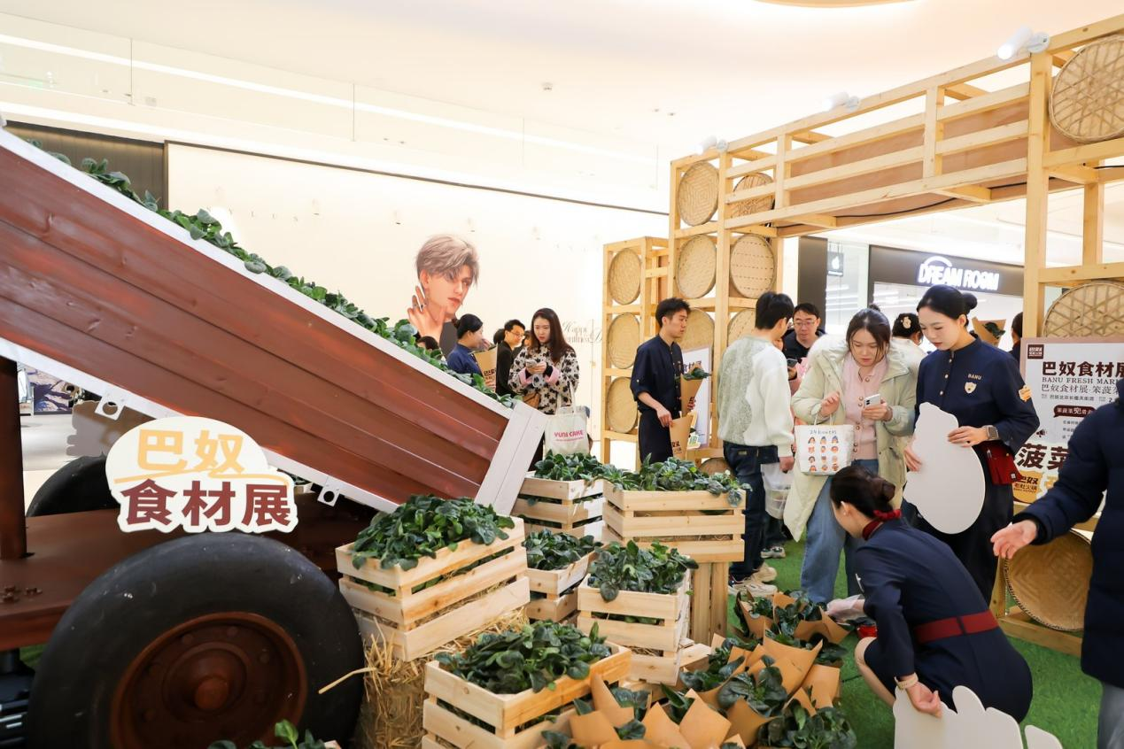 巴奴“笨菠菜”甜出圈：一场从田间到商圈的乡村振兴实践